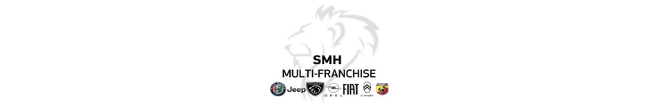 SMH Sandton logo