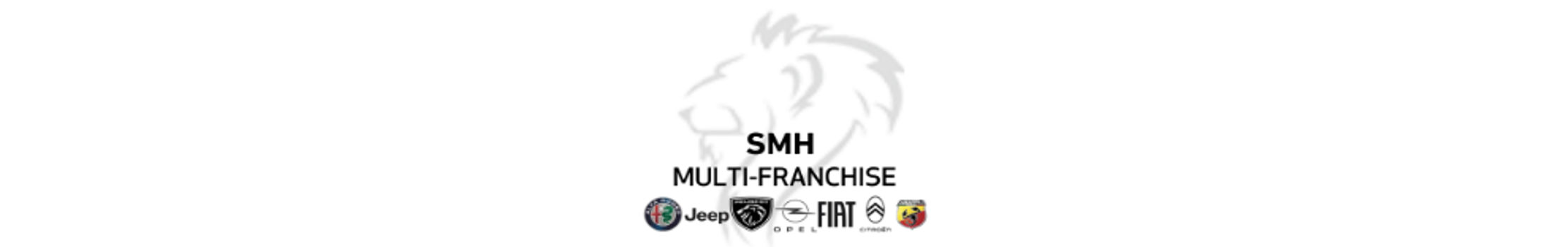 Dealer Banner