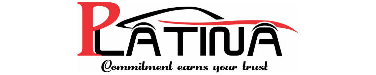 Platina Motor Group logo