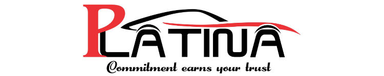 Mahindra George logo