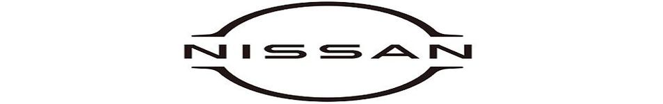 DTM Paarl Nissan logo