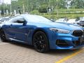 2019 BMW 8 Series M850i xDrive Coupe Individual