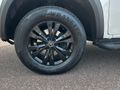 2020 Mercedes-Benz X-Class X250d 4x4 Power Auto