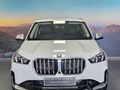 2024 BMW X1 xDrive30e xLine