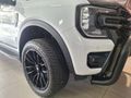 2023 Ford Ranger 2.0 Bi-Turbo Wildtrak Double Cab Auto