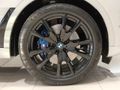 2024 BMW X7 xDrive 40d M Sport Pro