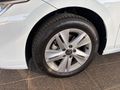 2026 Volkswagen Golf 1.4 TSI Life Auto (110kw)