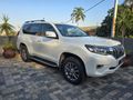 2019 Toyota Land Cruiser Prado 3.0 D VX-L Auto