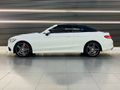 2017 Mercedes-Benz C-Class C 300 Cabrio Auto