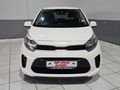 2023 Kia Picanto 1.0 Runner Panel Van