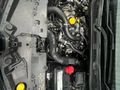 2019 Renault Captur 900T Dynamique (66kW)