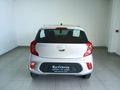 2025 Kia Picanto 1.0 Runner Panel Van