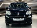 2013 Fiat Panda 1.2 Pop