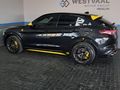 2026 Alfa Romeo Stelvio 2.9T V6 Quadrifoglio