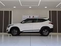 2020 Kia Seltos 1.6 EX Auto