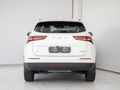 2026 Haval H6 1.5T Hybrid Ultra Luxury DHT