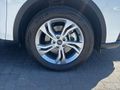 2025 Ford Territory 1.8T Trend