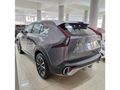 2026 GAC EMKOO 1.5T Executive Plus