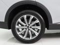 2026 Chery Tiggo 9 2.0T Pinnacle