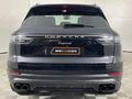 2022 Porsche Cayenne Platinum Edition