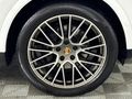 2022 Porsche Cayenne Platinum Edition