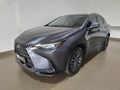 2024 Lexus NX 250 EX