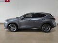 2024 Lexus NX 250 EX
