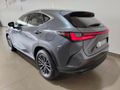 2024 Lexus NX 250 EX