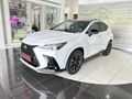 2026 Lexus NX 450h+ pHev