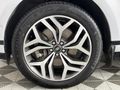 2020 Land Rover Range Rover Evoque 2.0 D First Edition (132kW) | D180