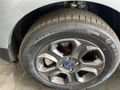 2022 Ford EcoSport 1.0 EcoBoost Trend Auto