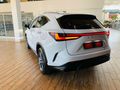 2025 Lexus NX 350h EX