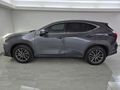 2026 Lexus NX 350h EX