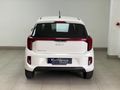 2026 Kia Picanto 1.0 LS Auto