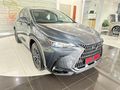 2026 Lexus NX 350h EX