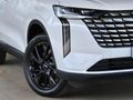 2026 Haval H6 2.0T Luxury 4x4 Auto