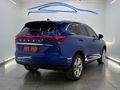 2025 Haval H6 2.0T Super Luxury 4X4 Auto