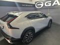 2025 GAC EMKOO 1.5T Executive Plus