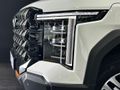 2026 LDV Terron 9 2.5D Flagship 4x4 Double Cab Auto