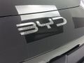 2026 BYD Dolphin Surf Comfort