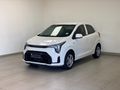 2024 Kia Picanto 1.0 LX Runner Panel Van