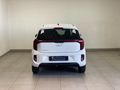 2024 Kia Picanto 1.0 LX Runner Panel Van