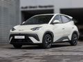 2026 BYD Dolphin Surf Dynamic