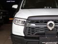 2026 GWM P-Series P300 2.4TD LTD 4x4 Double Cab Auto