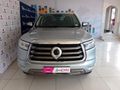 2021 GWM P-Series PV 2.0 TD LS 4x4 Auto Double-Cab