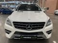 2013 Mercedes-Benz ML 250 Bluetec
