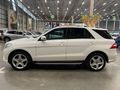 2013 Mercedes-Benz ML 250 Bluetec
