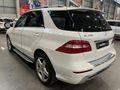 2013 Mercedes-Benz ML 250 Bluetec