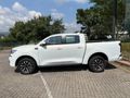 2025 GWM P-Series P300 2.4TD LS 4x4 Auto Double-Cab