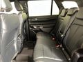2023 Ford Everest 3.0D V6 Wildtrack AWD Auto